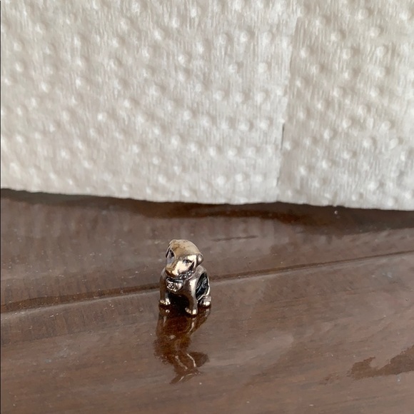 Pandora charm